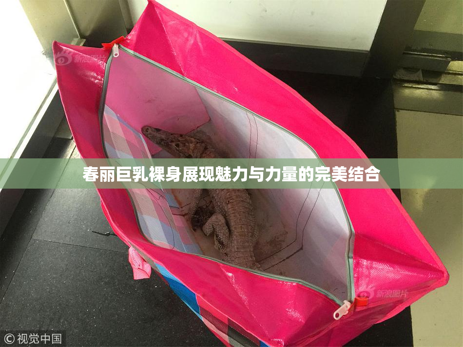 春丽巨乳裸身展现魅力与力量的完美结合