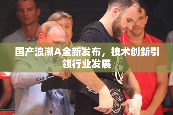 国产浪潮A全新发布，技术创新引领行业发展