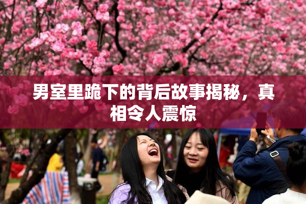 男室里跪下的背后故事揭秘，真相令人震惊
