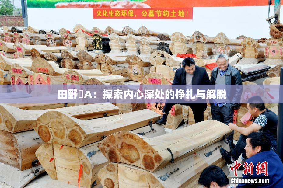 田野憂A：探索内心深处的挣扎与解脱