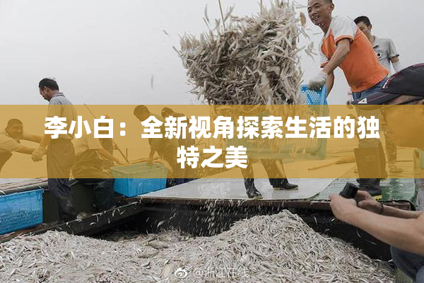 李小白：全新视角探索生活的独特之美