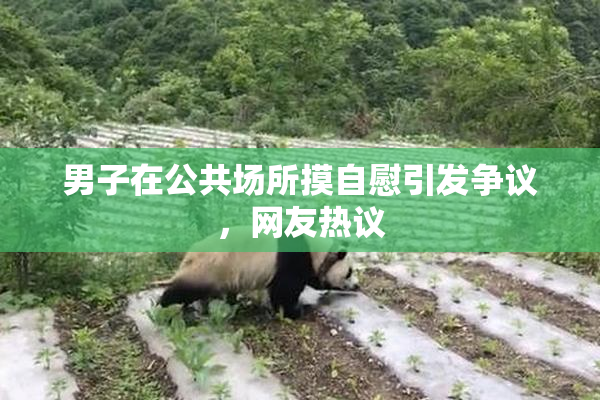 男子在公共场所摸自慰引发争议，网友热议