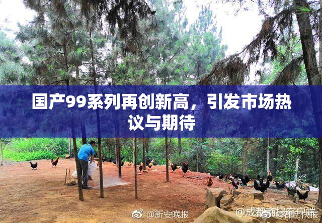 国产99系列再创新高，引发市场热议与期待