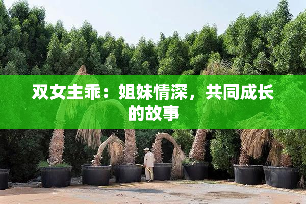 双女主乖：姐妹情深，共同成长的故事