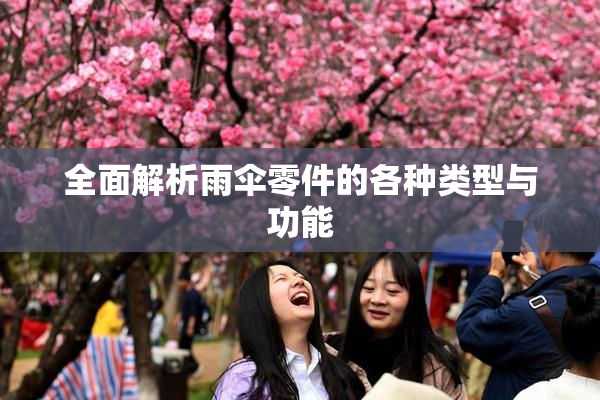 全面解析雨伞零件的各种类型与功能