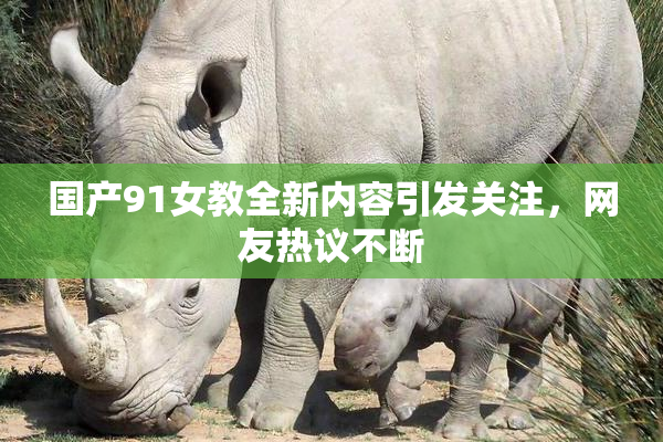 国产91女教全新内容引发关注，网友热议不断