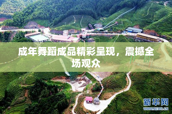 成年舞蹈成品精彩呈现，震撼全场观众