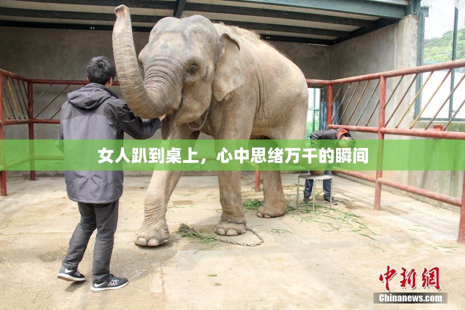 女人趴到桌上，心中思绪万千的瞬间