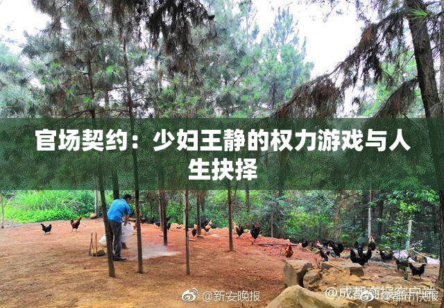 官场契约：少妇王静的权力游戏与人生抉择