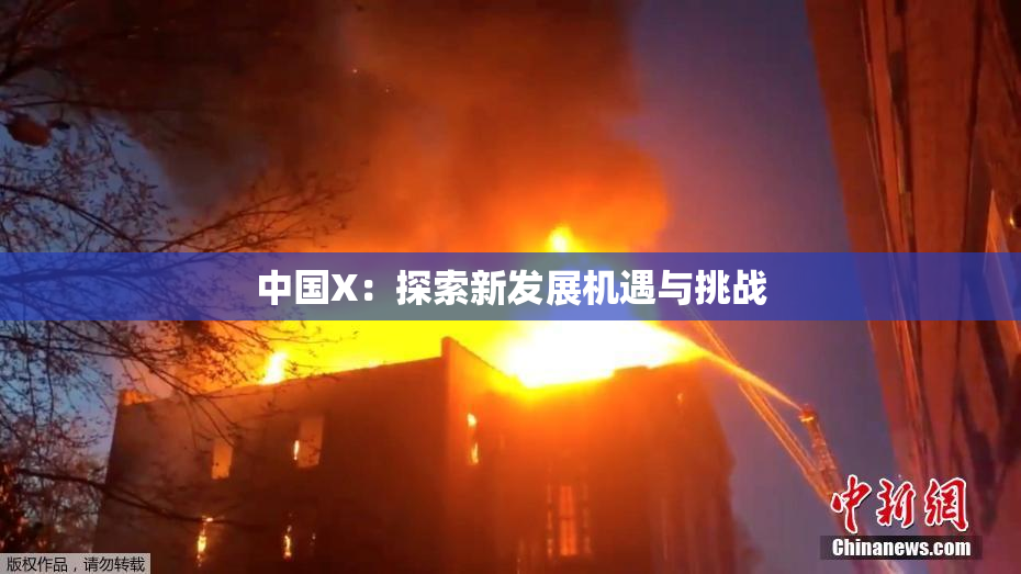 中国X：探索新发展机遇与挑战