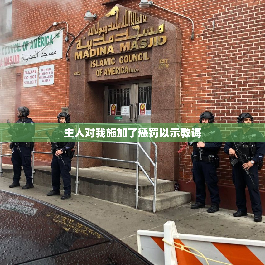 主人对我施加了惩罚以示教诲