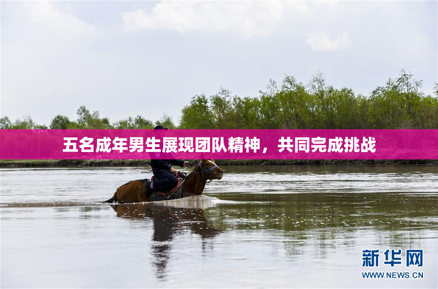 五名成年男生展现团队精神，共同完成挑战