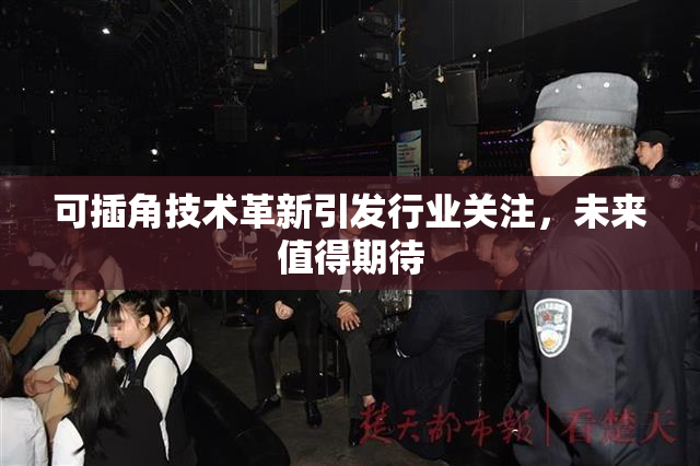 可插角技术革新引发行业关注，未来值得期待