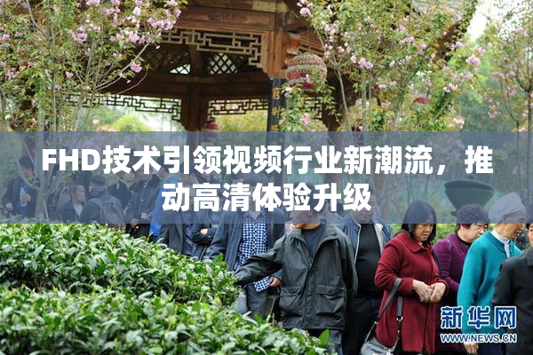 FHD技术引领视频行业新潮流，推动高清体验升级