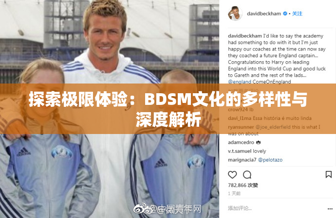 探索极限体验：BDSM文化的多样性与深度解析