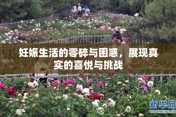 妊娠生活的零碎与困惑，展现真实的喜悦与挑战