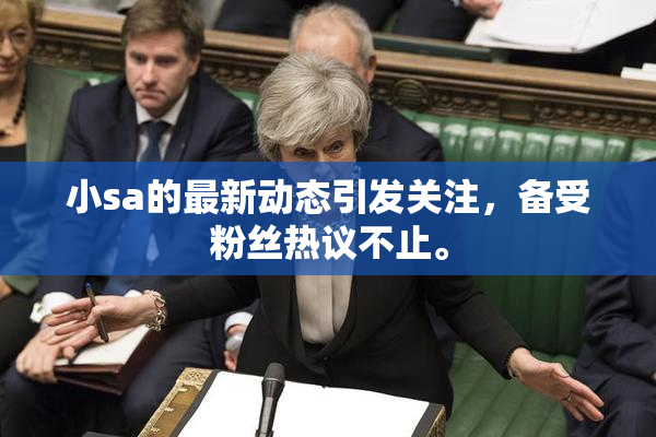 小sa的最新动态引发关注，备受粉丝热议不止。