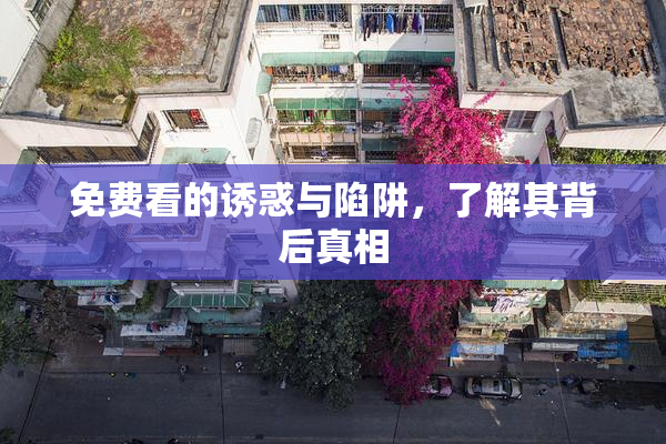免费看的诱惑与陷阱，了解其背后真相