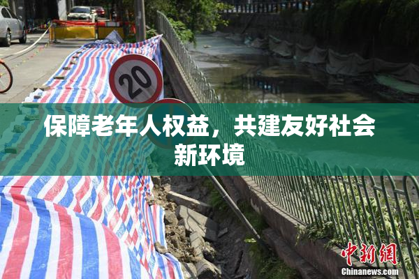 保障老年人权益，共建友好社会新环境