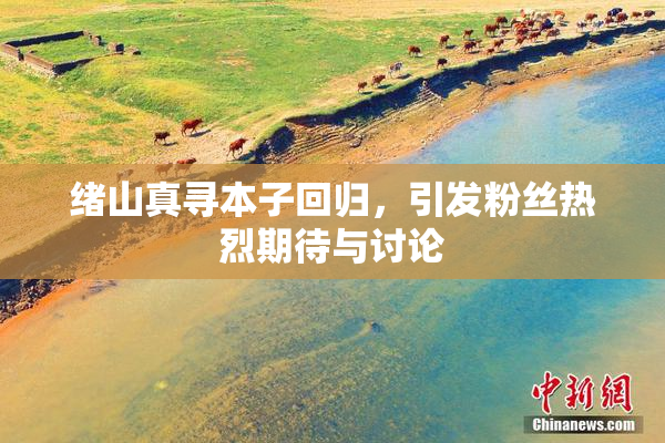 绪山真寻本子回归，引发粉丝热烈期待与讨论