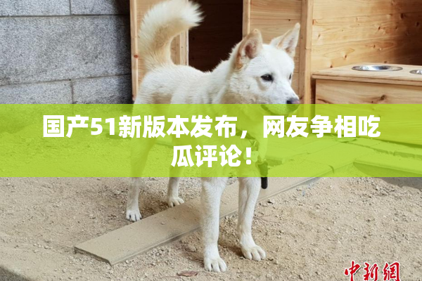 国产51新版本发布，网友争相吃瓜评论！