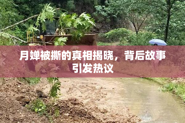 月婵被撕的真相揭晓，背后故事引发热议