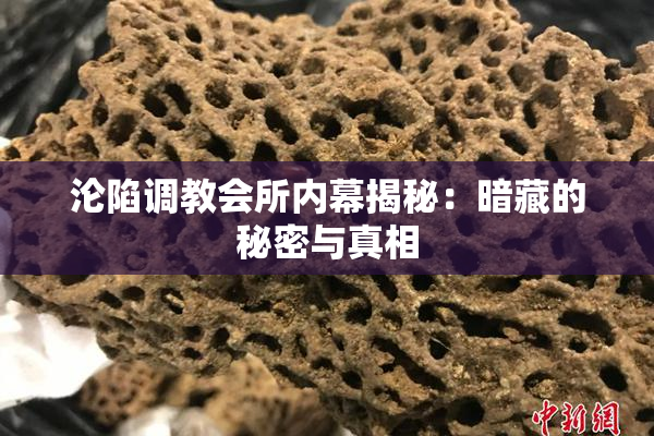 沦陷调教会所内幕揭秘：暗藏的秘密与真相