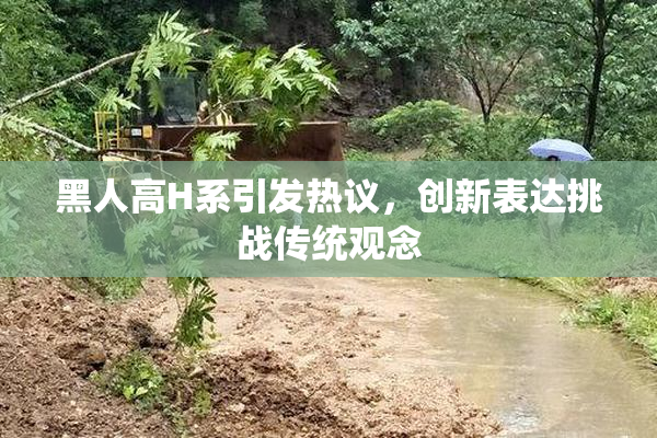 黑人高H系引发热议，创新表达挑战传统观念