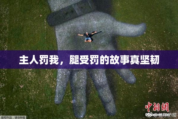 主人罚我，腿受罚的故事真坚韧