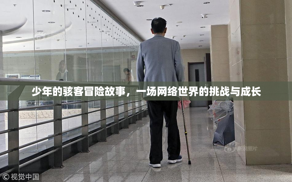 少年的骇客冒险故事，一场网络世界的挑战与成长
