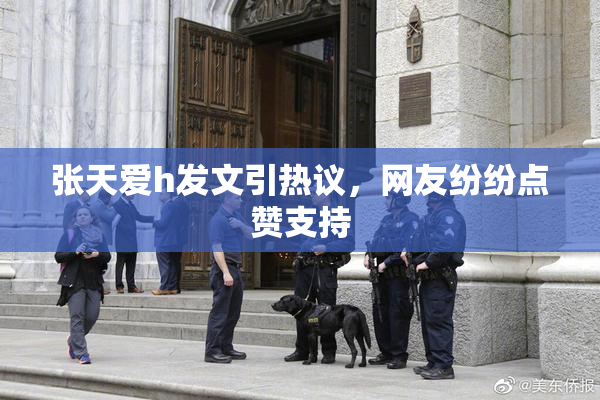 张天爱h发文引热议，网友纷纷点赞支持