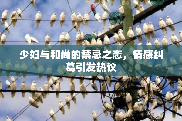 少妇与和尚的禁忌之恋，情感纠葛引发热议