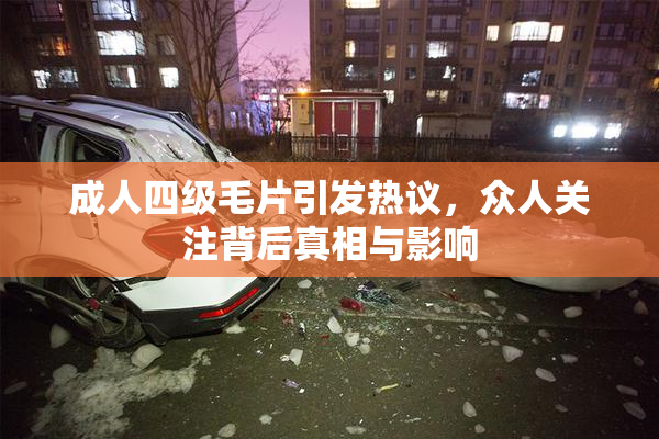 成人四级毛片引发热议，众人关注背后真相与影响