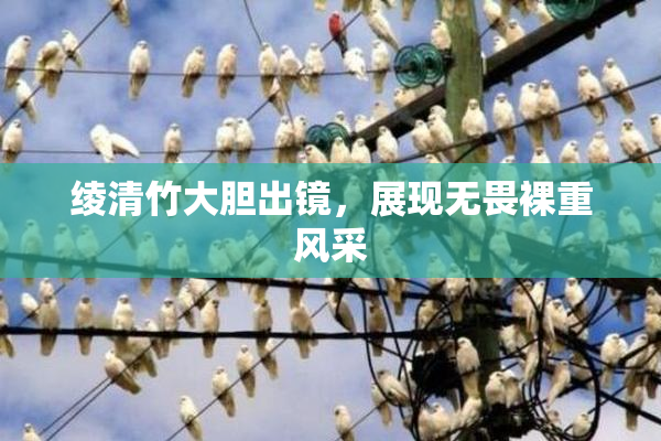 绫清竹大胆出镜，展现无畏裸重风采