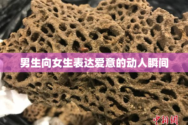 男生向女生表达爱意的动人瞬间