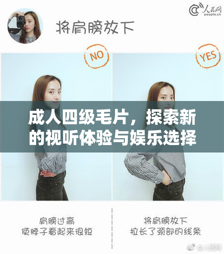 成人四级毛片，探索新的视听体验与娱乐选择