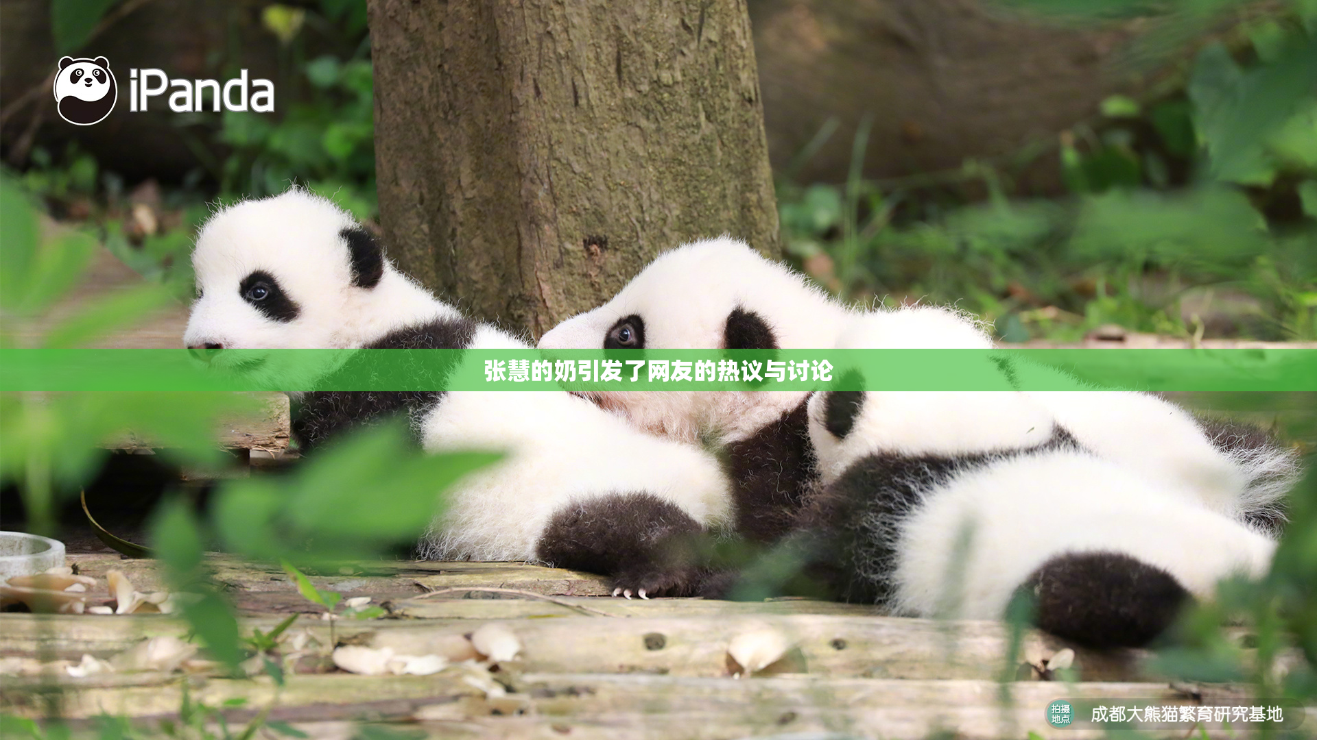 张慧的奶引发了网友的热议与讨论