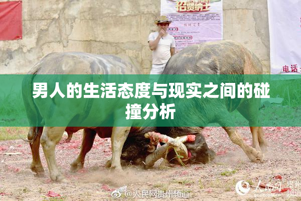 男人的生活态度与现实之间的碰撞分析