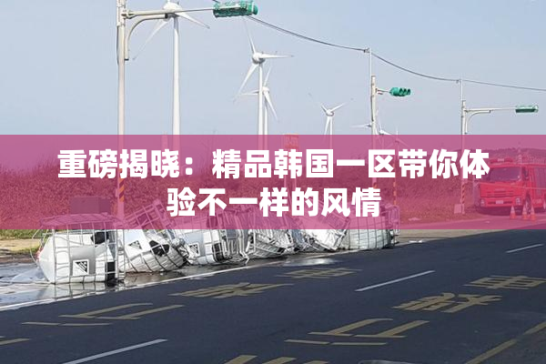 重磅揭晓：精品韩国一区带你体验不一样的风情