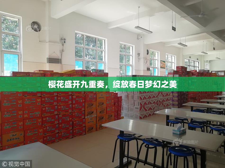 樱花盛开九重奏，绽放春日梦幻之美