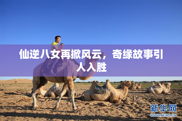 仙逆八女再掀风云，奇缘故事引人入胜