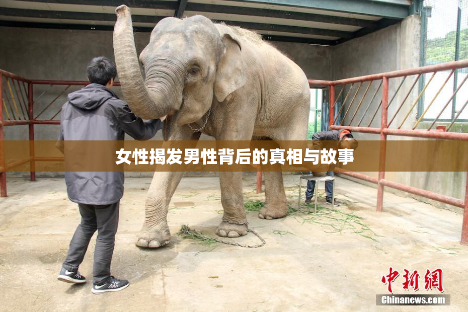 女性揭发男性背后的真相与故事