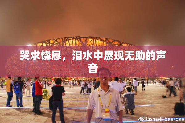 哭求饶恳，泪水中展现无助的声音