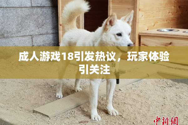 成人游戏18引发热议，玩家体验引关注