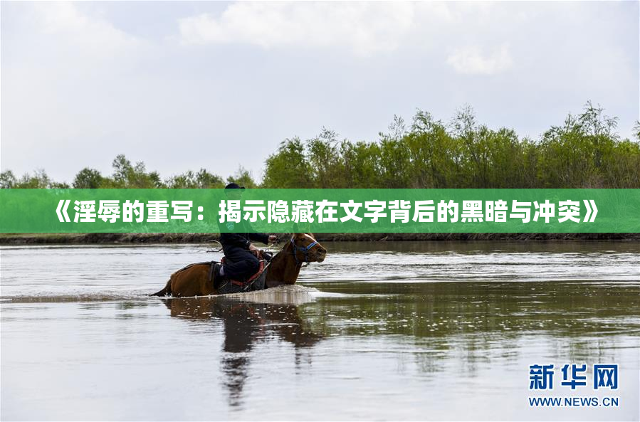 《淫辱的重写：揭示隐藏在文字背后的黑暗与冲突》