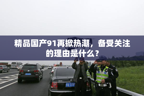 精品国产91再掀热潮，备受关注的理由是什么？
