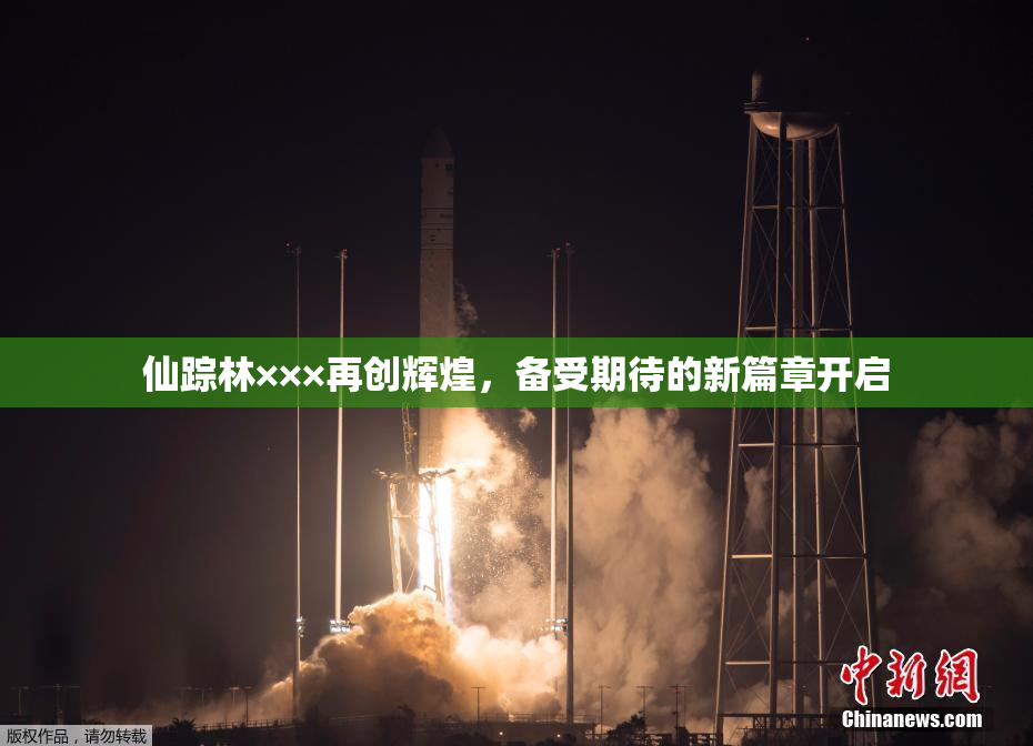 仙踪林×××再创辉煌，备受期待的新篇章开启