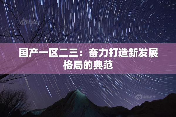 国产一区二三：奋力打造新发展格局的典范