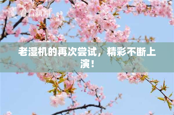 老湿机的再次尝试，精彩不断上演！