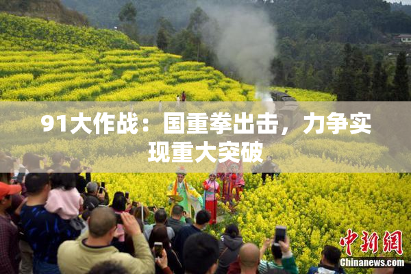91大作战：国重拳出击，力争实现重大突破